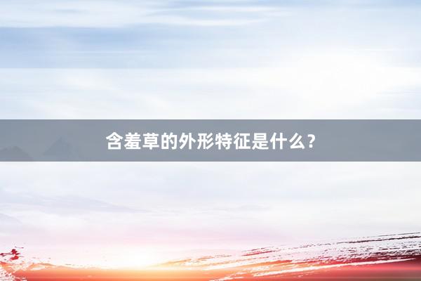 含羞草的外形特征是什么?